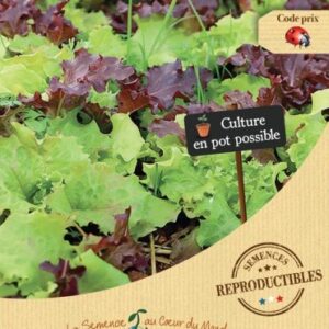 LAITUES à couper en mélange Bio