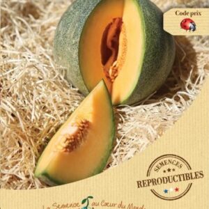 MELON Petit gris de Rennes Bio