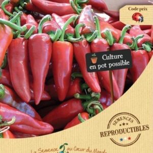 piment-gorria-dit-despelette-bio