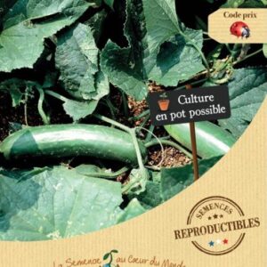 semences-bio-reproductibles-concombre-tanja