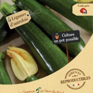 COURGETTE Black beauty Bio