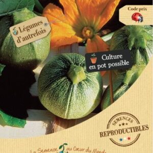 semences-bio-reproductibles-courgette-ronde-de-nice