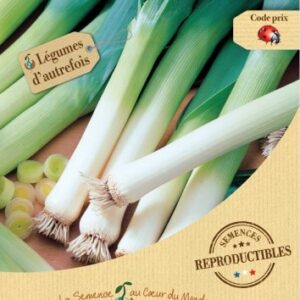 semences-bio-reproductibles-poireau-geant-d-hiver-bio